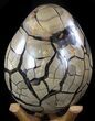 Septarian Dragon Egg Geode - Black Crystals #37117-3